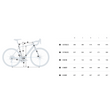Orbea GAIN D50 Országúti eBike