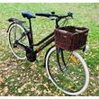 Dema Lugo Lady City Bike Basil Rattan / Creme
