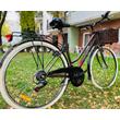 Dema Lugo Lady City Bike Basil Rattan / Creme