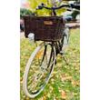 Dema Lugo Lady City Bike Basil Rattan / Creme