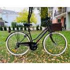 Dema Lugo Lady City Bike Basil Rattan / Creme