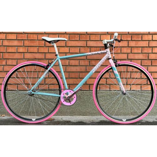 Custom Paint Single Speed turquoise-pink-gray 48cm